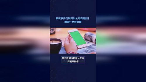 系統軟件定制開發公司有哪些 哪家好比較好呢