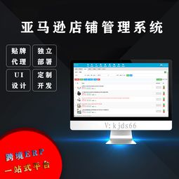 亞馬遜ERP管理系統(tǒng)在無貨源店群運營中的應(yīng)用與定制開發(fā)